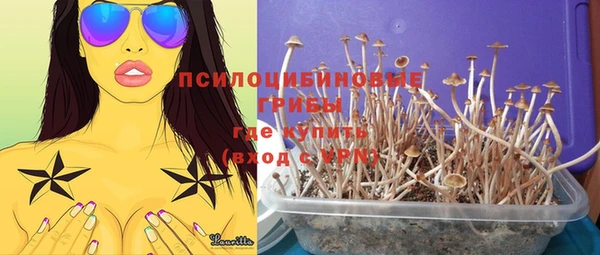 не бодяженный Коряжма