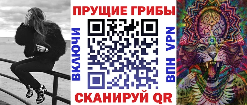 закладка  Кострома  Галлюциногенные грибы GOLDEN TEACHER 