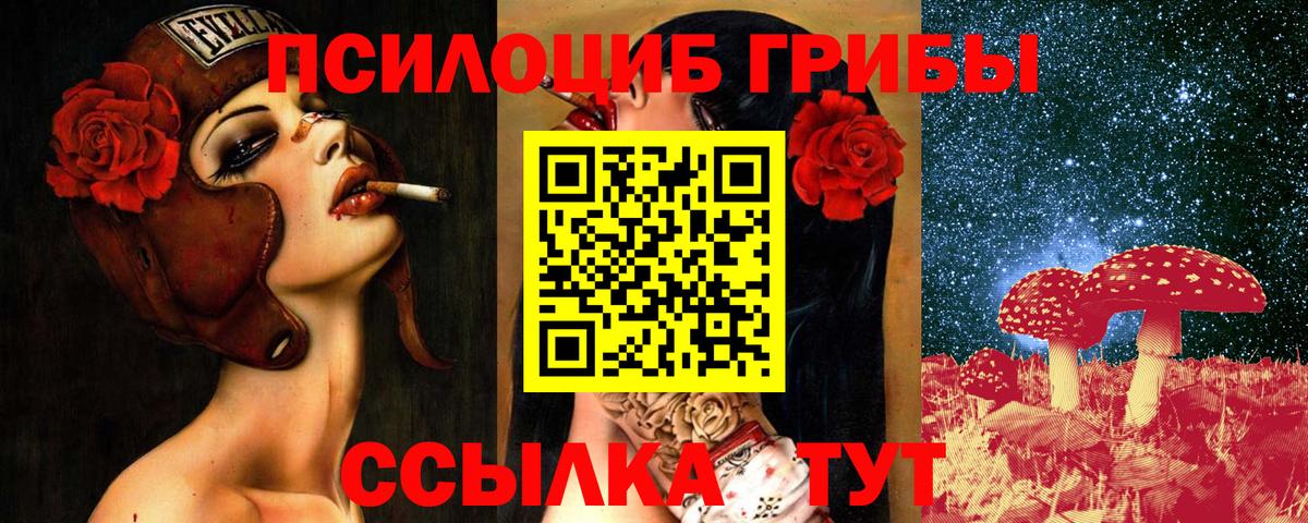 Псилоцибиновые грибы GOLDEN TEACHER  Вход с VPN  наркотики  Кострома 